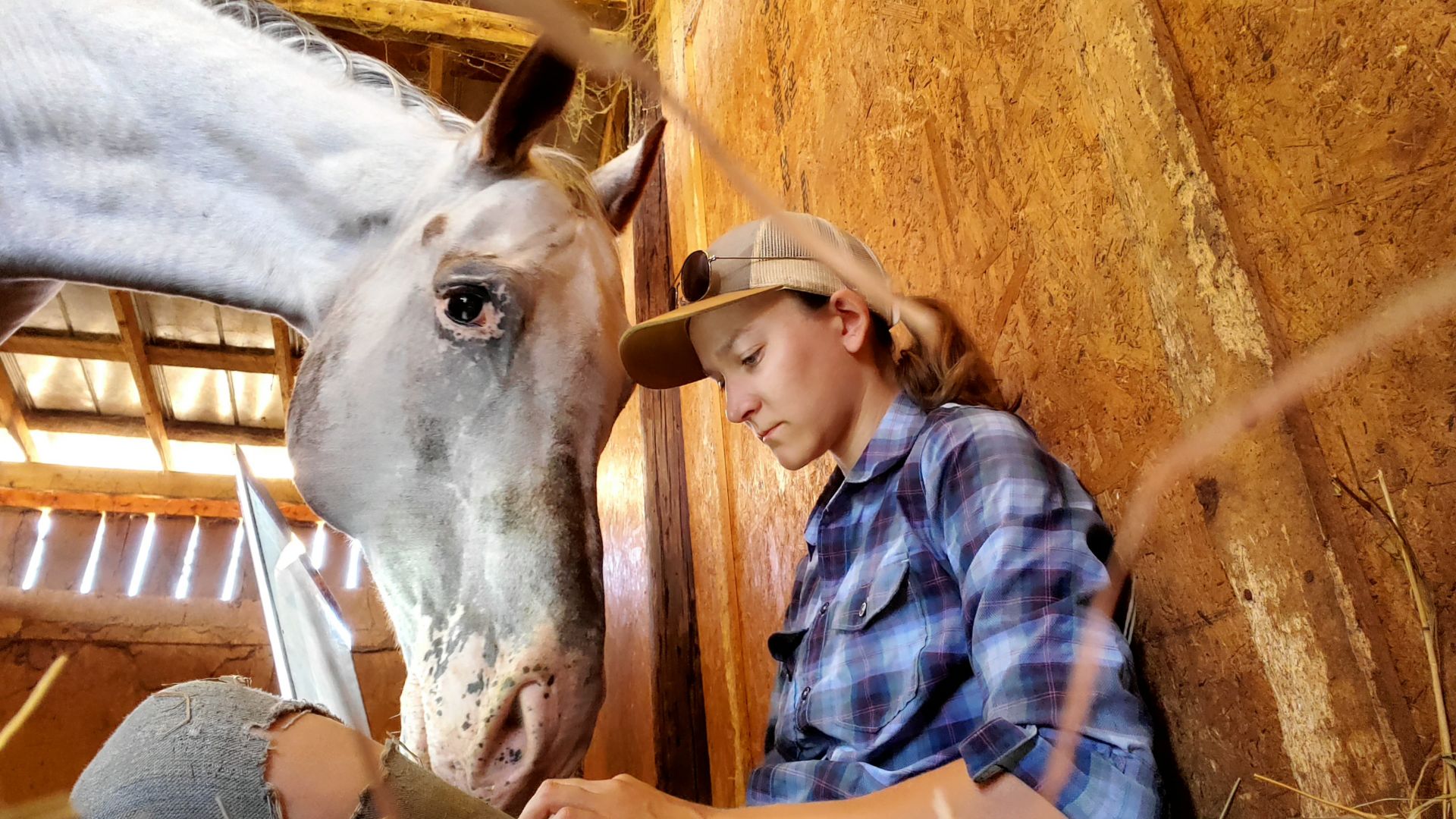 WW: My horse helped me write this column (6)